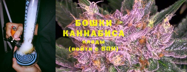 прущие грибы Алагир