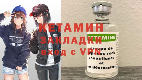 шишки Белоозёрский