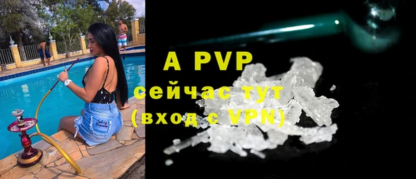 эйфоретик Артём